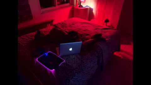 romeotyn online show from February 2025 06:07:02 AM