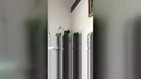 Roni Hall online show from March 2026 06:08:01 PM