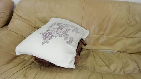 Rosa online show from January 2025 12:26:01 AM