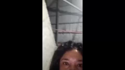 Snapshot of rose_marie2025 chatting on February 2026 03:49:02 PM rose_marie2025 online show from February 2026 03:49:02 PM