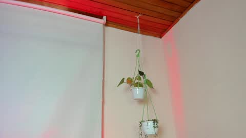 Lyla OF roselinedior online show from February 2025 02:21:02 PM