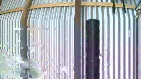 rosia online show from January 2026 08:05:01 AM