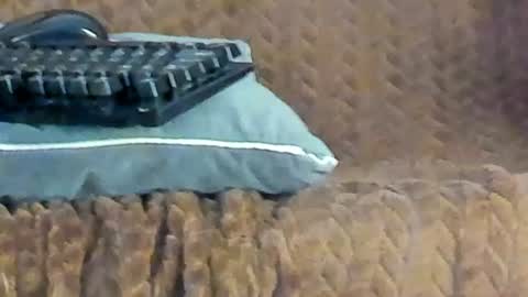 rouse_sexy_hotxx77 online show from June 2026 03:08:02 AM