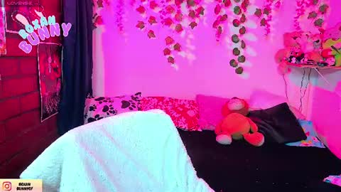 Snapshot of roxanbunny chatting on July 2026 03:44:01 AM roxxy online show from July 2026 03:44:01 AM