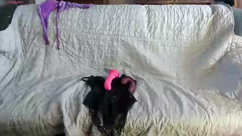 roxaneramirez online show from May 2026 05:58:01 AM