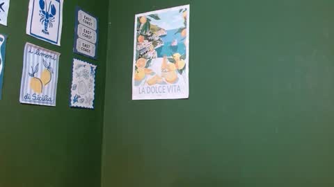 Roxie online show from November 2025 01:49:01 AM