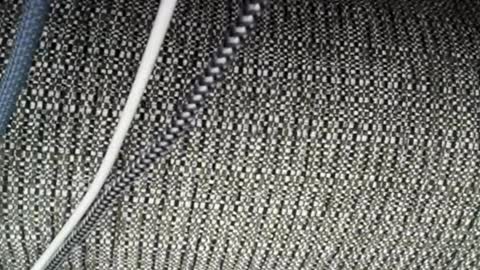 Snapshot of roxylove369 chatting on April 2026 02:31:01 AM roxylove369 online show from April 2026 02:31:01 AM