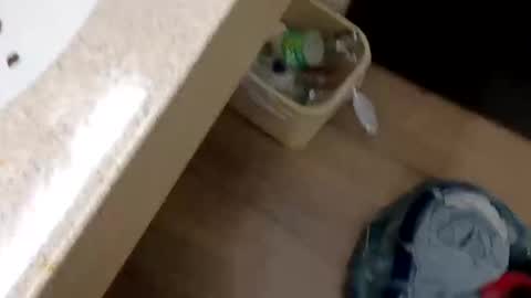 rozayfun online show from November 2025 09:57:02 PM