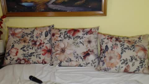 Snapshot of rubysky__ chatting on February 2025 06:39:01 PM Ruby online show from February 2025 06:39:01 PM