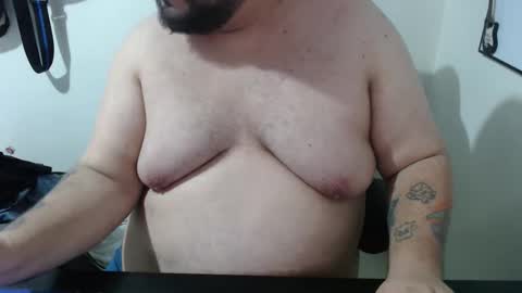 Bear online show from February 2026 12:09:02 AM