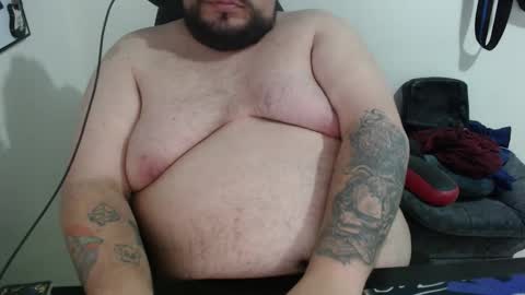 Bear online show from February 2026 04:07:01 AM