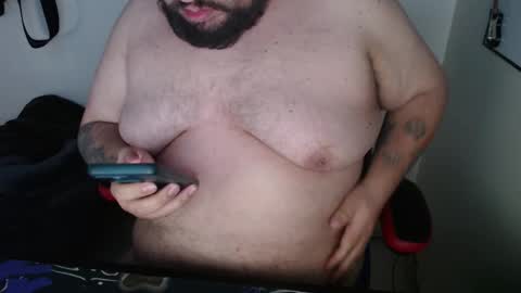 Bear online show from February 2026 06:04:02 PM