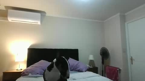 Snapshot of rulitos206 chatting on May 2026 02:53:01 AM rulitos206 online show from May 2026 02:53:01 AM