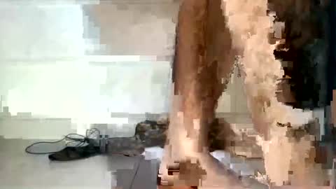 tareq online show from December 2024 06:33:01 PM