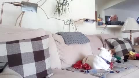 Snapshot of rustyx22 chatting on March 2025 06:58:02 PM Rusty online show from March 2025 06:58:02 PM