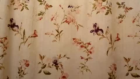 Snapshot of rustyx22 chatting on September 2025 07:48:01 PM Rusty online show from September 2025 07:48:01 PM