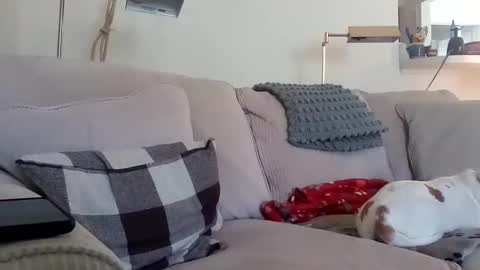 Snapshot of rustyx22 chatting on October 2025 01:09:01 PM Rusty online show from October 2025 01:09:01 PM