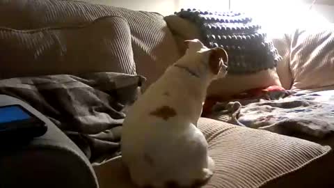 Snapshot of rustyx22 chatting on October 2025 02:25:02 AM Rusty online show from October 2025 02:25:02 AM