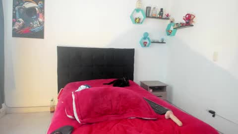 Ryan 15 online show from February 2025 04:58:01 PM