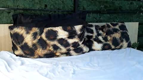 ryanstorm1 online show from October 2025 10:28:02 PM