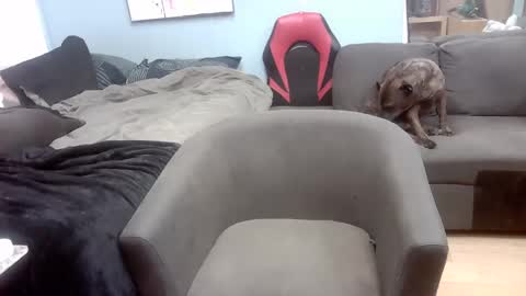 Snapshot of ryanteedaddy chatting on November 2025 10:50:02 AM Ryan Tee online show from November 2025 10:50:02 AM