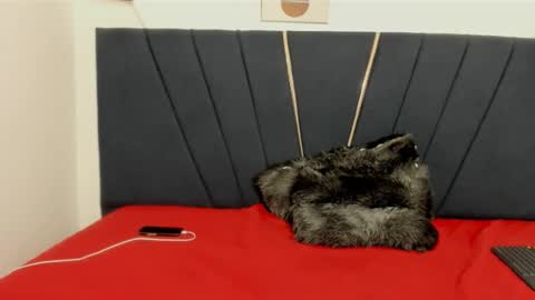 ryder_cum23 online show from November 2025 03:40:02 AM