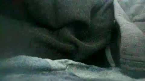 arte online show from September 2025 11:45:02 AM