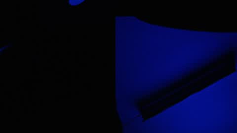 Snapshot of ryushi009 chatting on January 2025 03:39:02 AM Ryushi009 online show from January 2025 03:39:02 AM