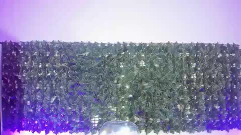 Snapshot of sabinamerchetti_ chatting on March 2026 12:26:01 AM Sabina Merchetti online show from March 2026 12:26:01 AM