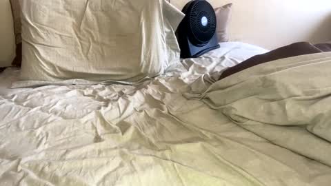 R online show from January 2025 09:18:01 PM