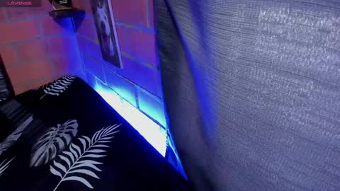 sainix_ online show from January 2025 09:41:02 PM