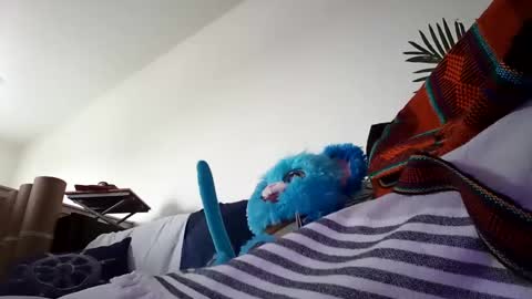 salis1981 online show from January 2025 10:28:02 PM