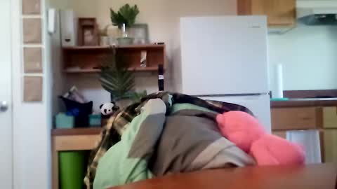 salis1981 online show from October 2025 06:31:01 PM