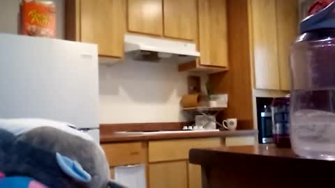 salis1981 online show from December 2025 06:58:01 PM