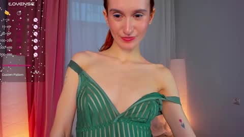 Snapshot of sallybiscuit chatting on February 2025 01:33:01 PM Sally online show from February 2025 01:33:01 PM