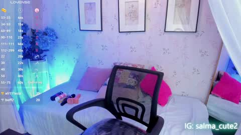 Snapshot of salmaacute chatting on January 2025 10:46:02 PM Salma online show from January 2025 10:46:02 PM