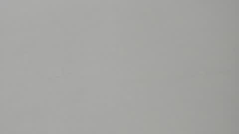 SALVATORE online show from February 2025 11:12:01 AM