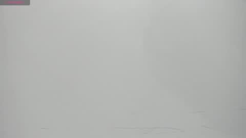 SALVATORE online show from February 2025 11:10:02 AM