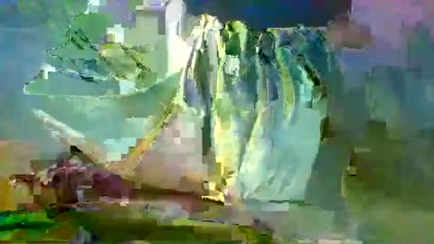 Snapshot of sam223382879 chatting on December 2024 10:59:02 PM sam223382879 online show from December 2024 10:59:02 PM