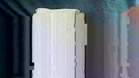 sam5554401727 online show from April 2026 07:39:02 PM