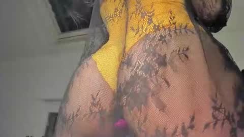 Samar Layali online show from January 2025 05:30:02 PM