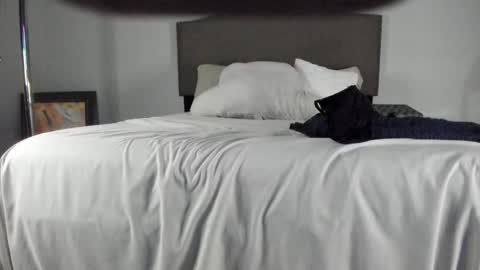 Yaya online show from October 2025 11:30:01 AM