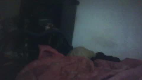 Samedisamedi1nouveau online show from October 2025 11:33:02 AM