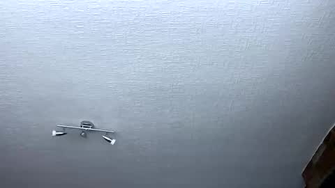 Snapshot of samegee chatting on October 2025 07:28:01 AM samegee online show from October 2025 07:28:01 AM