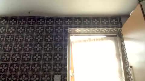 Snapshot of samegee chatting on October 2025 07:20:02 AM samegee online show from October 2025 07:20:02 AM