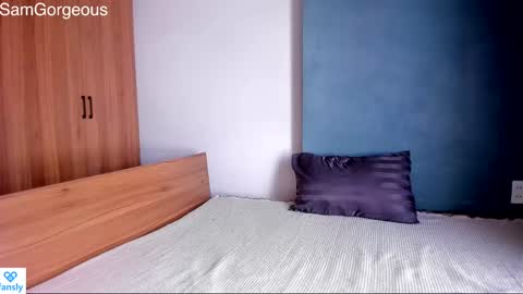 Snapshot of samgorgeous chatting on December 2024 07:43:01 AM Fansly - Top4fans online show from December 2024 07:43:01 AM