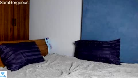 Snapshot of samgorgeous chatting on December 2024 03:11:01 PM Fansly - Top4fans online show from December 2024 03:11:01 PM