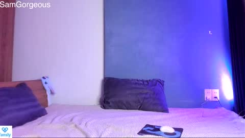 Snapshot of samgorgeous chatting on December 2024 08:08:01 PM Fansly - Top4fans online show from December 2024 08:08:01 PM