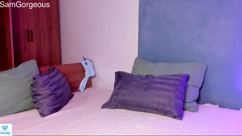 Snapshot of samgorgeous chatting on January 2025 11:50:02 AM Fansly - Top4fans online show from January 2025 11:50:02 AM