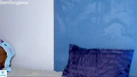 Snapshot of samgorgeous chatting on January 2025 03:29:02 PM Fansly - Top4fans online show from January 2025 03:29:02 PM